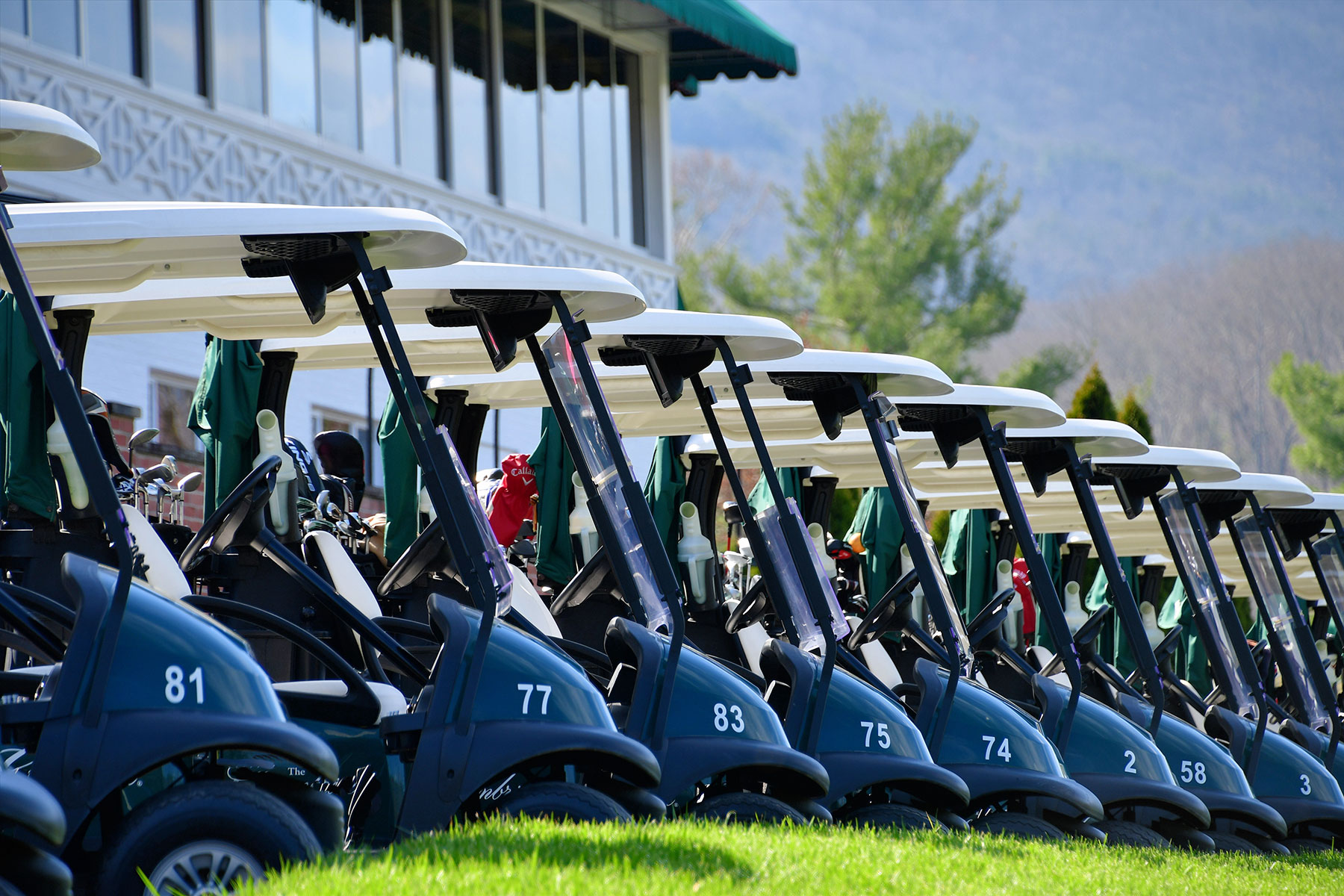 Fleet of golf carts